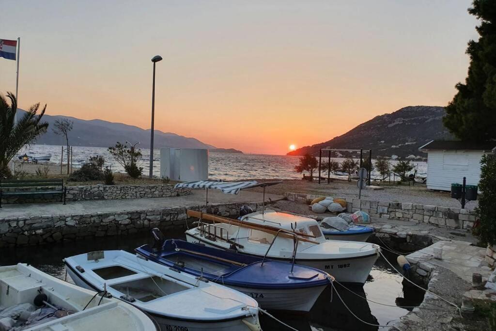 Apartment Mareta In Viganj Dış mekan fotoğraf